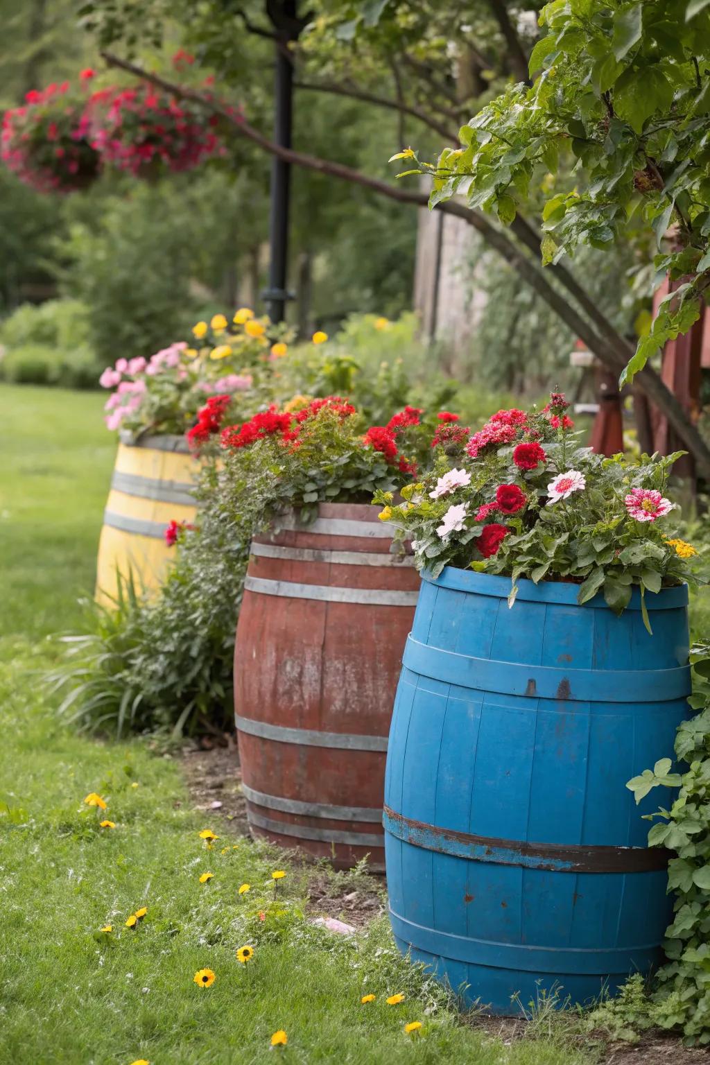 Painted barrels serving as vibrant garden planters