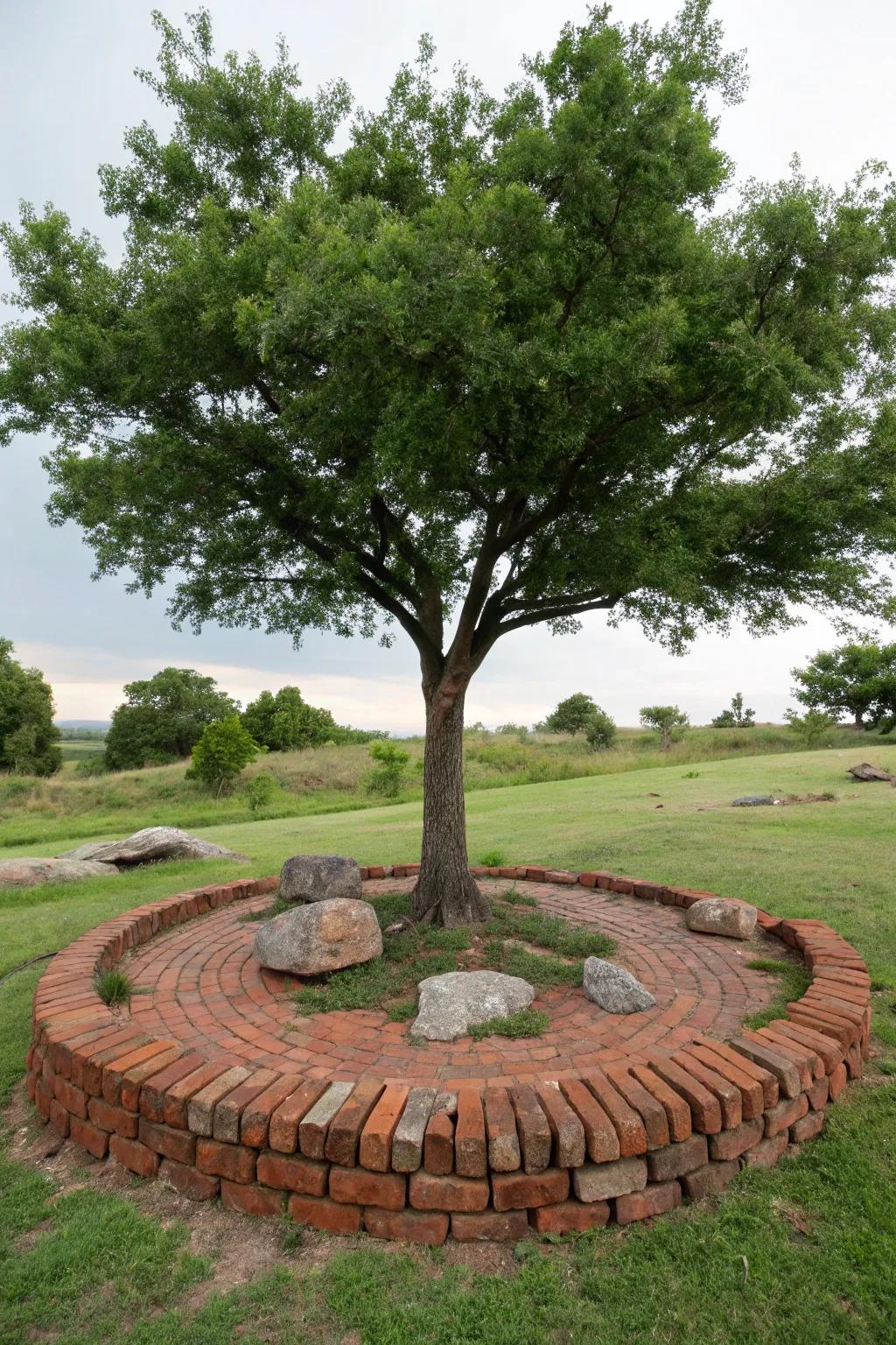 Tree rings provide protection and a polished look.