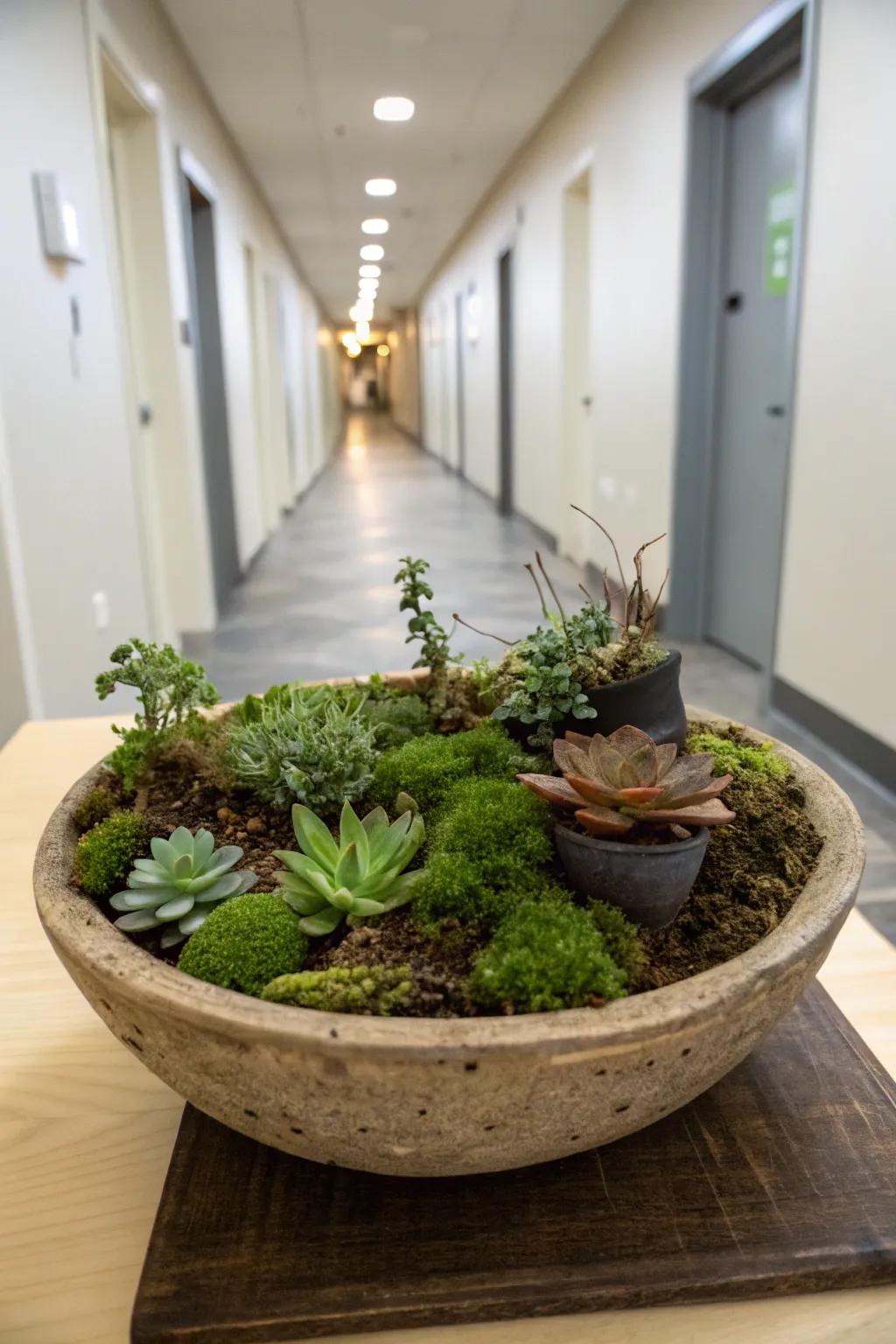 A whimsical miniature garden in your home