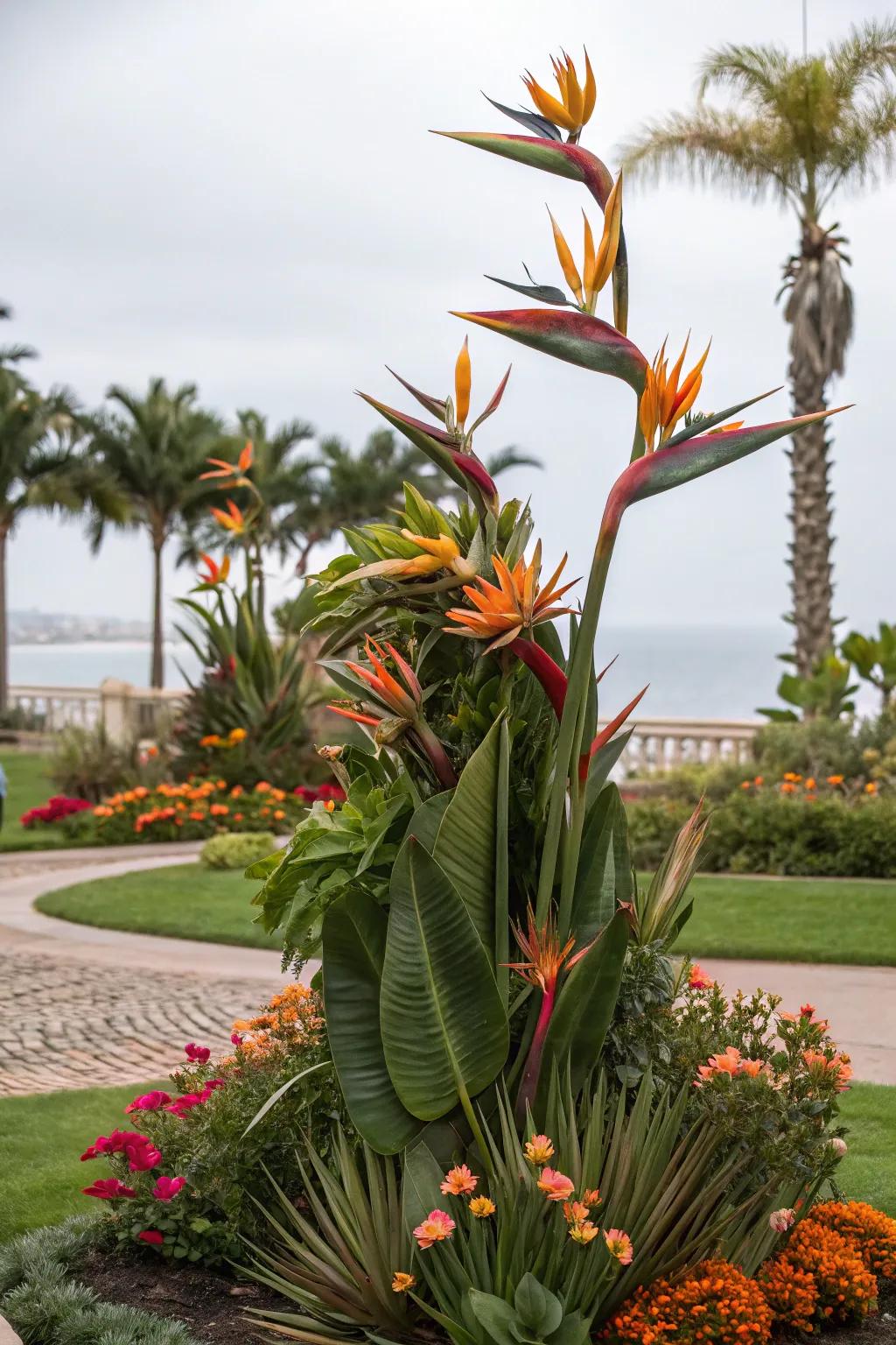 Turn Bird of Paradise into living art with creative shaping.