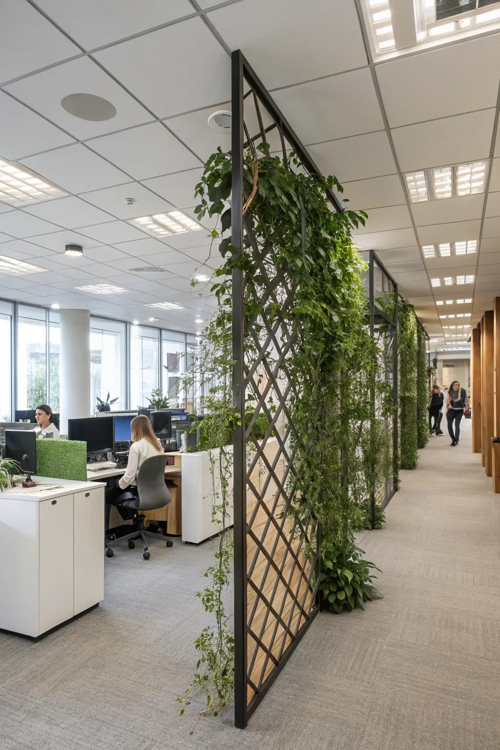 Ceiling-to-floor trellises add texture and height to office spaces.