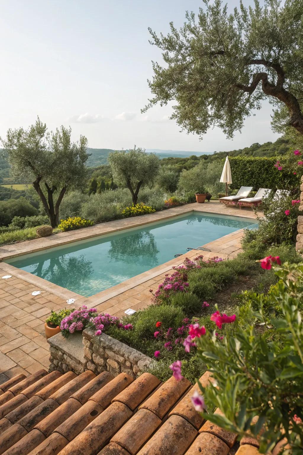 A pool pond with a Mediterranean-inspired design.