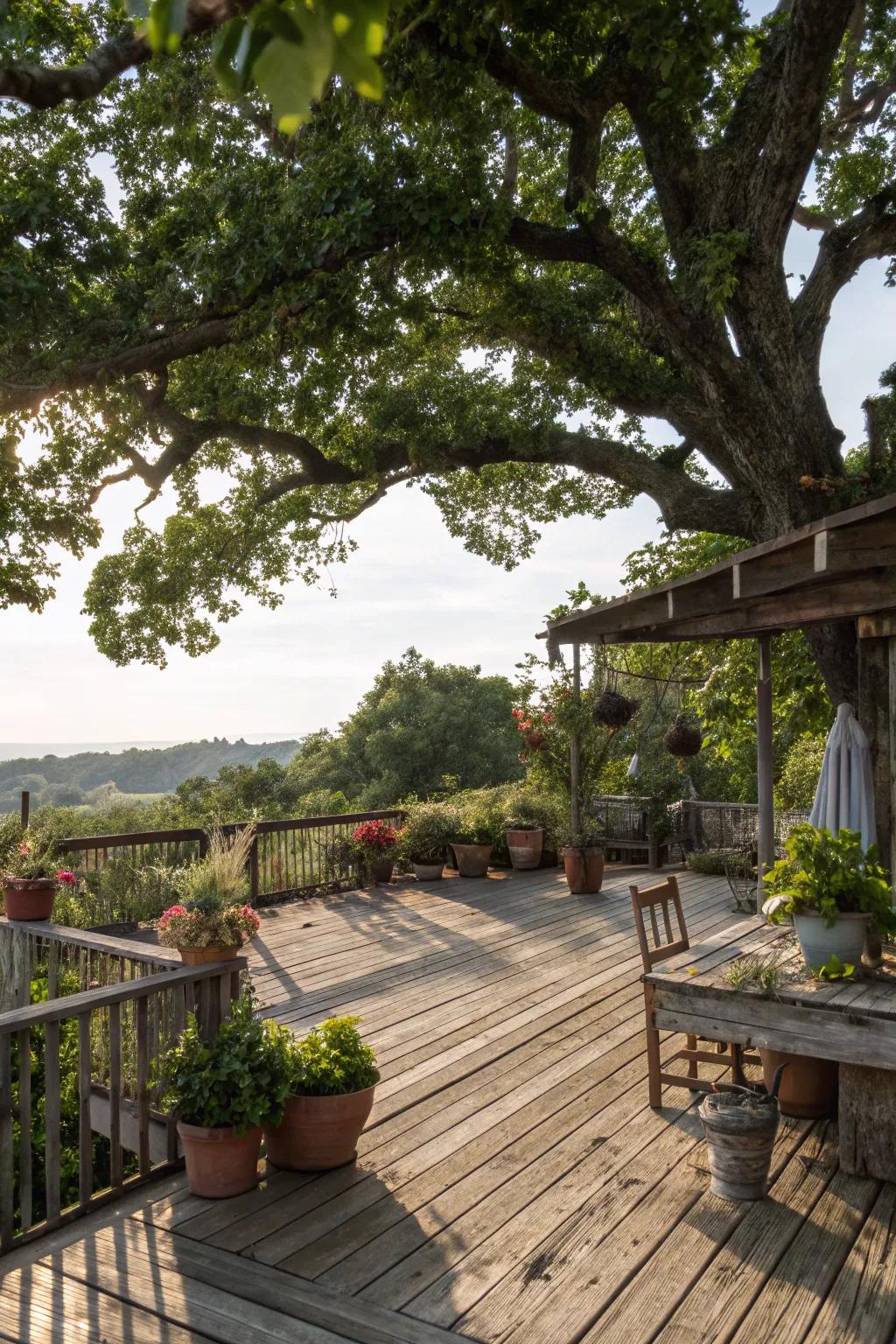 A tree canopy delivers shade and a natural backdrop to this veranda.