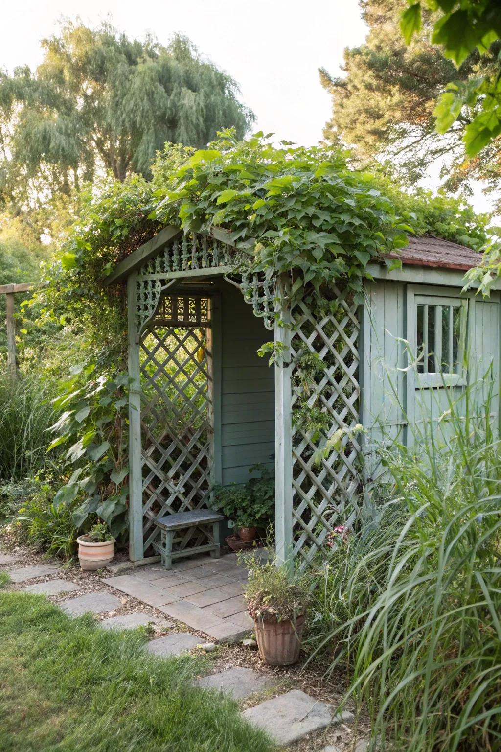 A shed in a secluded nook offers a private garden escape.