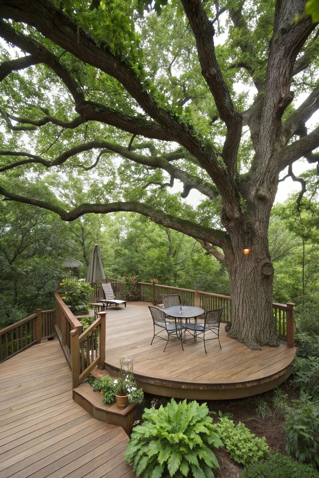 A deck or patio around a tree merges nature with living space.