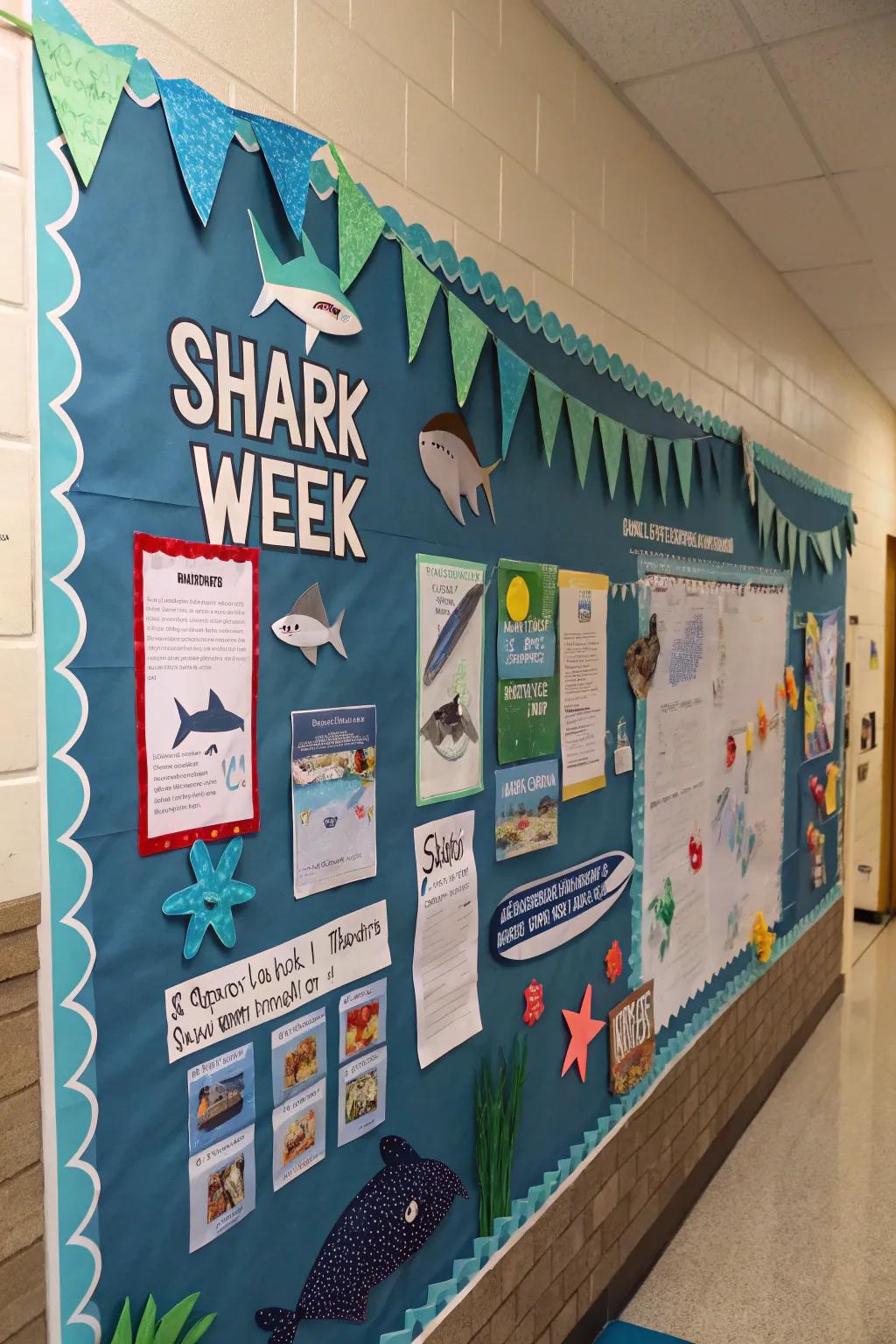 Join the excitement of Shark Week with this themed display.