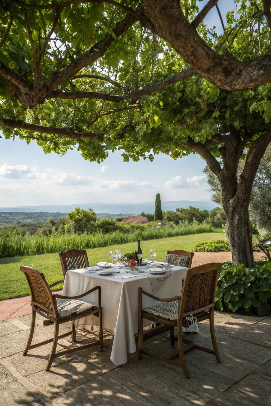 An outdoor dining area gives a magical dining experience.