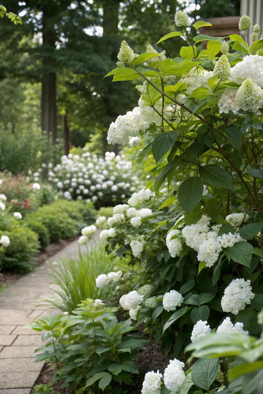 White flowers paired with lush greenery create a harmonious garden atmosphere.