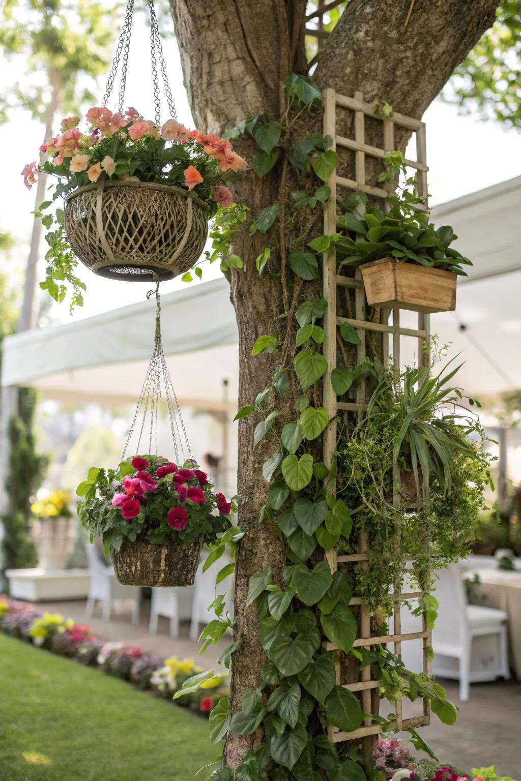 Vertical gardening adds layers and intrigue to tree landscapes.