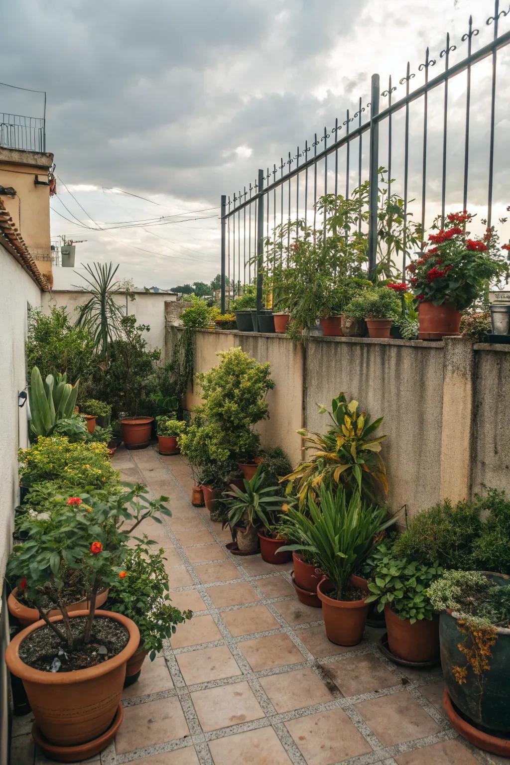 Potted plants transform a patio into a green paradise.