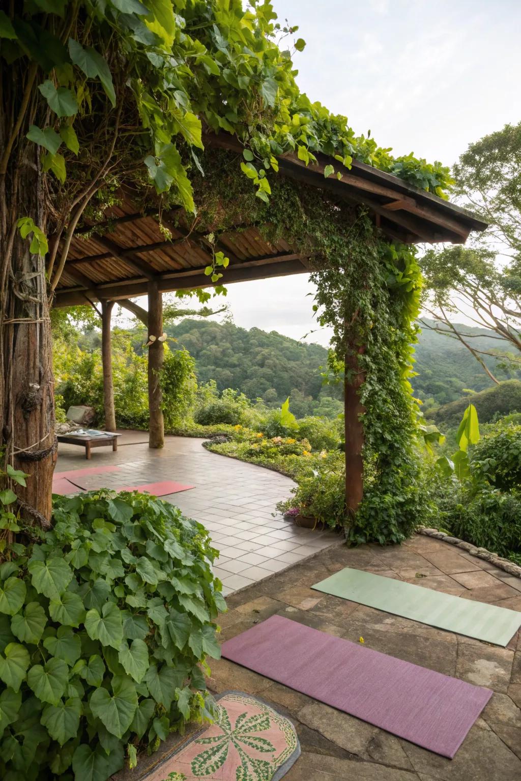 Greenery not only beautifies but also soothes and shields your yoga haven.