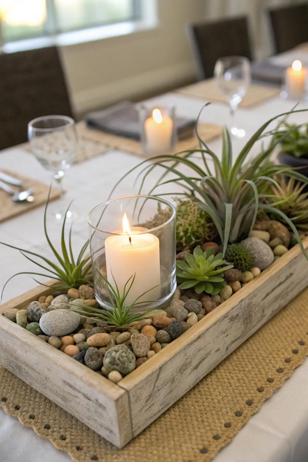 A tabletop display combining air plants with decorative elements.