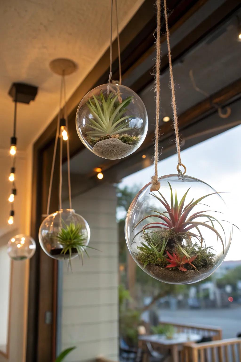 Whimsical floating garden with hanging glass orbs.