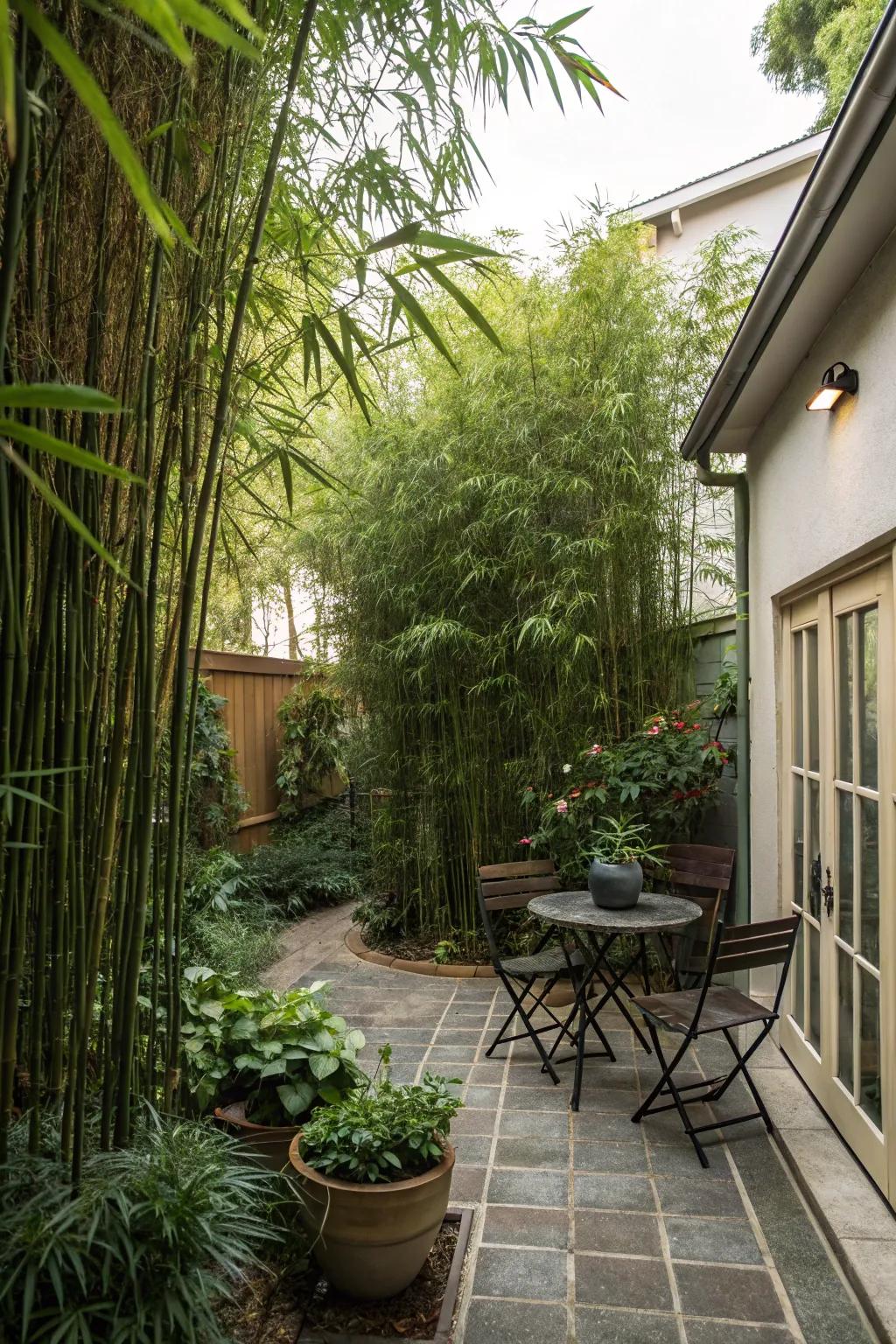 Tall plants offer a natural privacy solution.