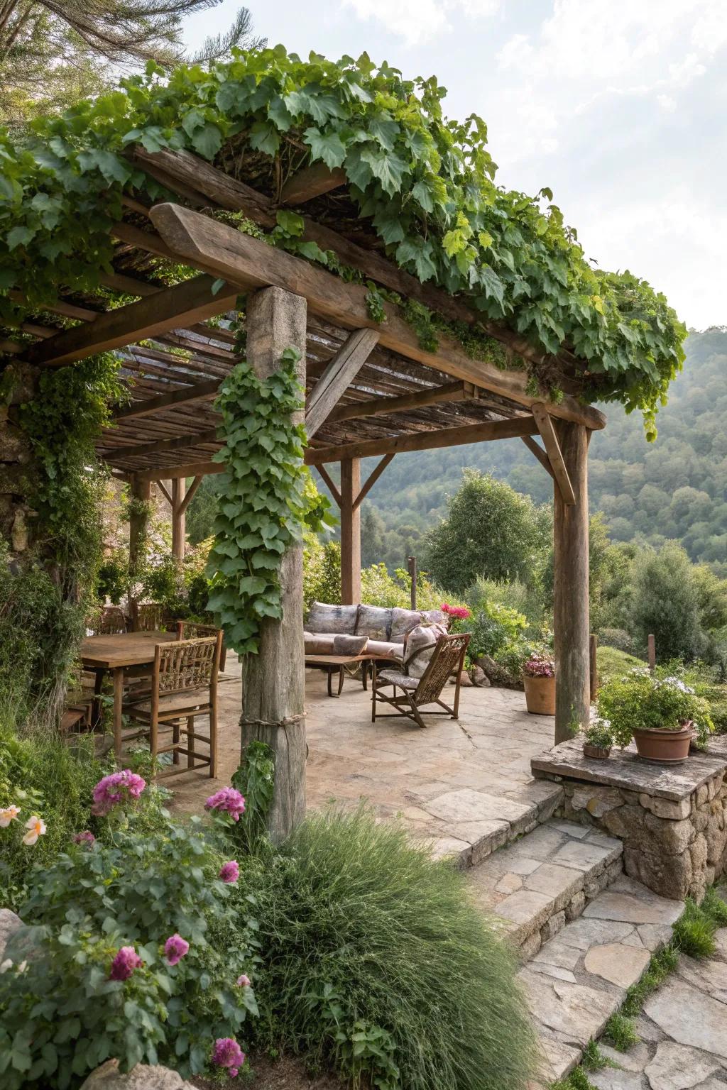 A rustic pergola offering shade and charm in a mountain garden.