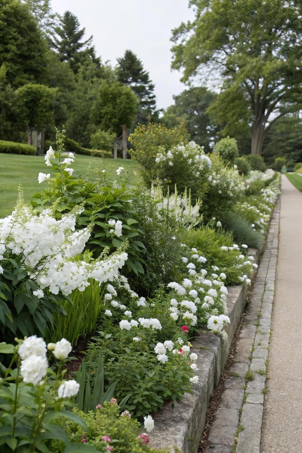 White flower borders offer structure and elegance to the garden.