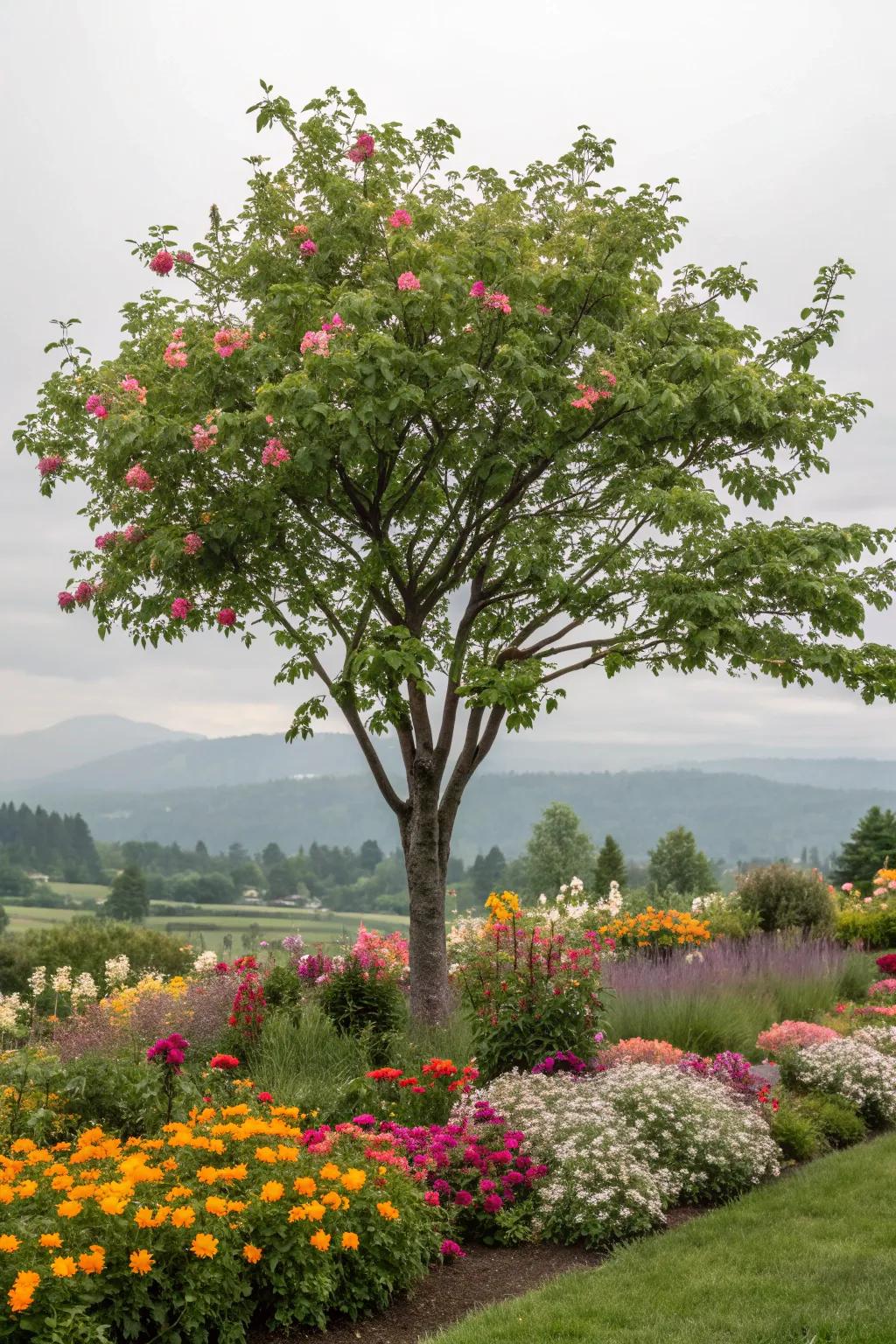 Perennials offer lasting beauty and easy maintenance around trees.