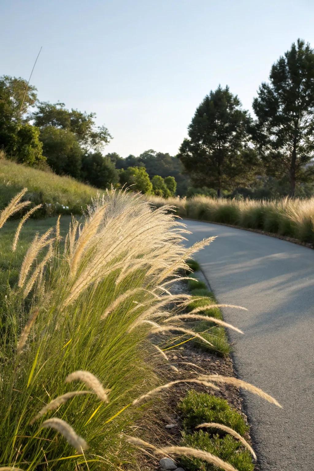 Ornamental grasses add movement and softness to the berm.